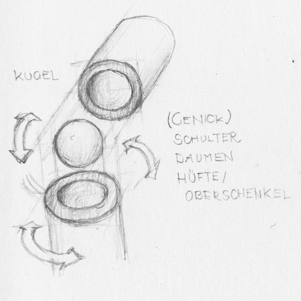 gelenke02.jpg